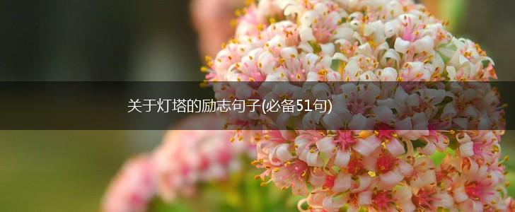 关于灯塔的励志句子(必备51句),第1张