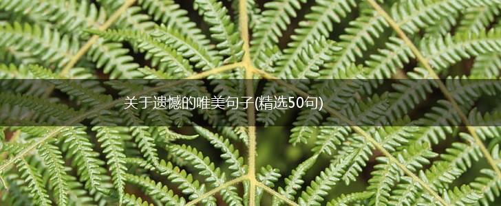 关于遗憾的唯美句子(精选50句),第1张