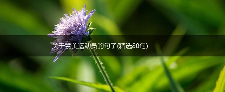 关于赞美运动员的句子(精选80句),第1张