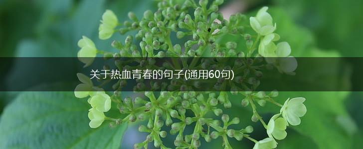 关于热血青春的句子(通用60句),第1张