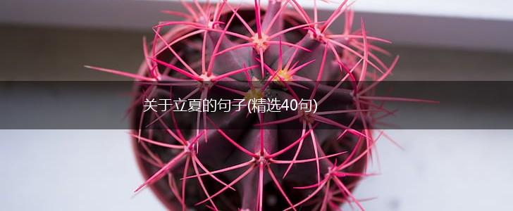 关于立夏的句子(精选40句),第1张