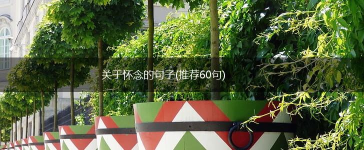 关于怀念的句子(推荐60句),第1张