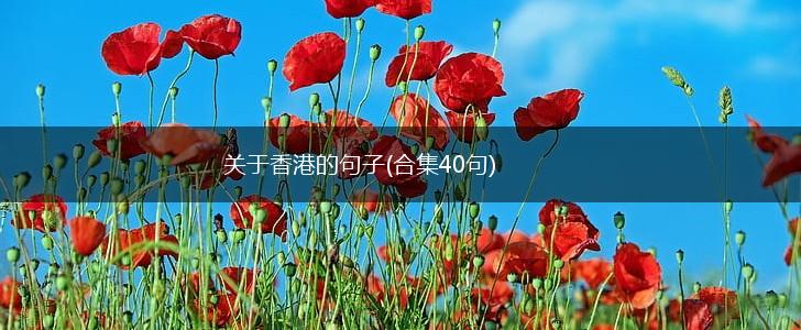 关于香港的句子(合集40句),第1张