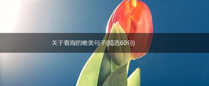 关于看海的唯美句子(精选60句),第1张