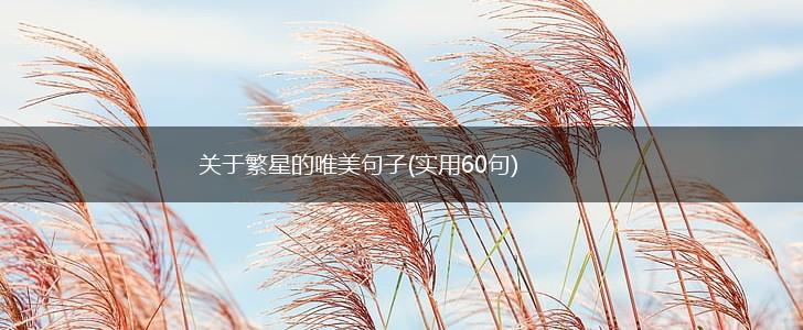 关于繁星的唯美句子(实用60句),第1张