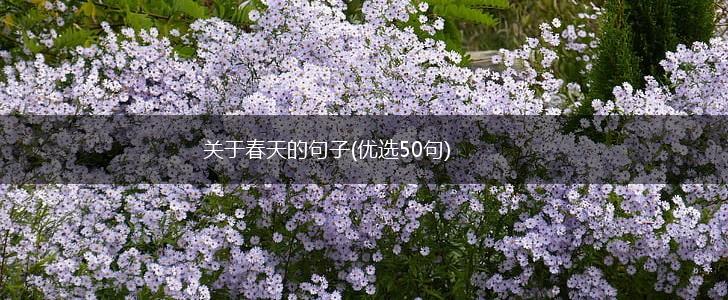 关于春天的句子(优选50句),第1张