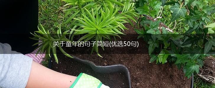 关于童年的句子简短(优选50句),第1张