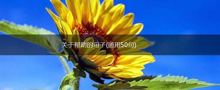 关于帮助的句子(通用50句),第1张