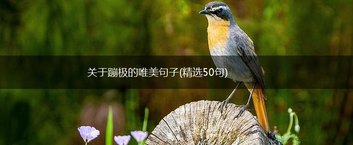 关于蹦极的唯美句子(精选50句),第1张
