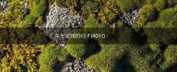 关于足球的句子(40句),第1张