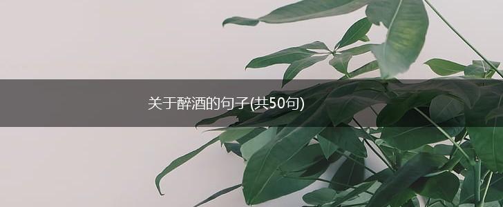 关于醉酒的句子(共50句),第1张