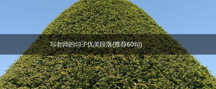 写老师的句子优美段落(推荐60句),第1张