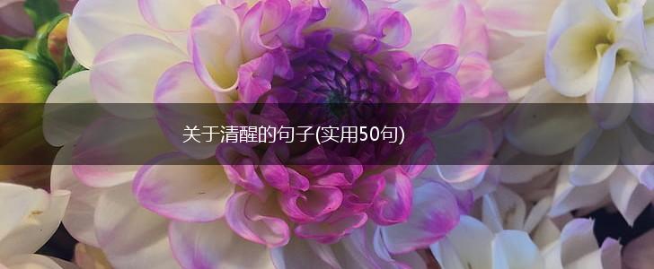 关于清醒的句子(实用50句),第1张