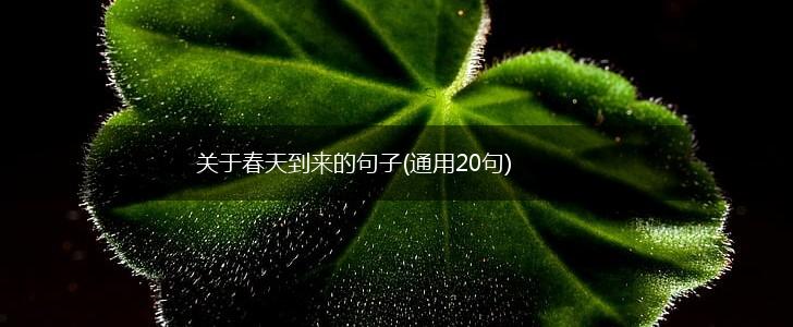关于春天到来的句子(通用20句),第1张