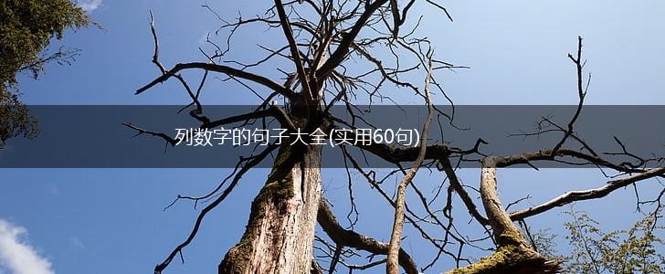 列数字的句子大全(实用60句),第1张
