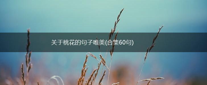 关于桃花的句子唯美(合集60句),第1张