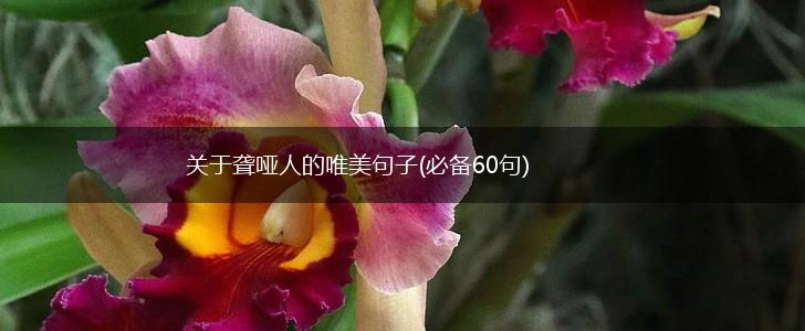 关于聋哑人的唯美句子(必备60句),第1张