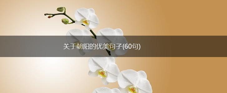 关于朝阳的优美句子(60句),第1张