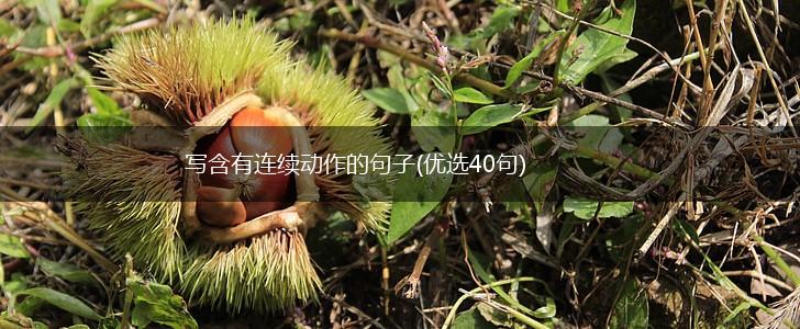 写含有连续动作的句子(优选40句),第1张