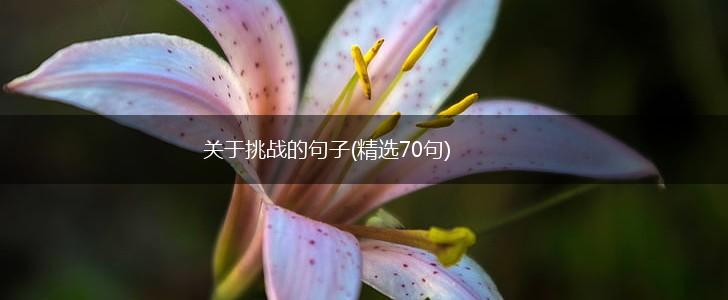 关于挑战的句子(精选70句),第1张
