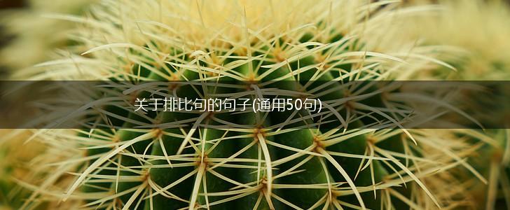 关于排比句的句子(通用50句),第1张