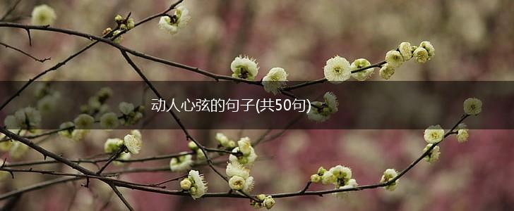 动人心弦的句子(共50句),第1张