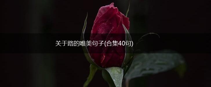 关于路的唯美句子(合集40句),第1张