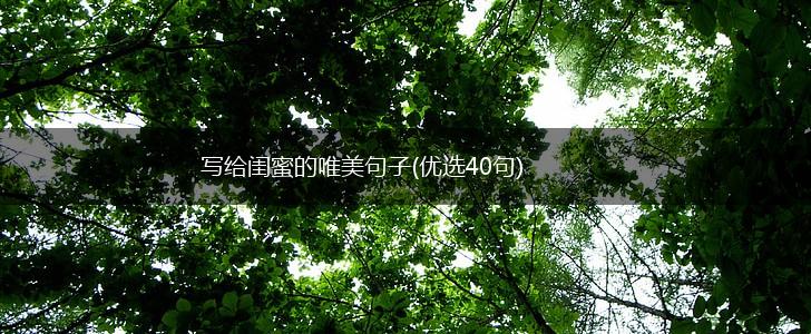 写给闺蜜的唯美句子(优选40句),第1张