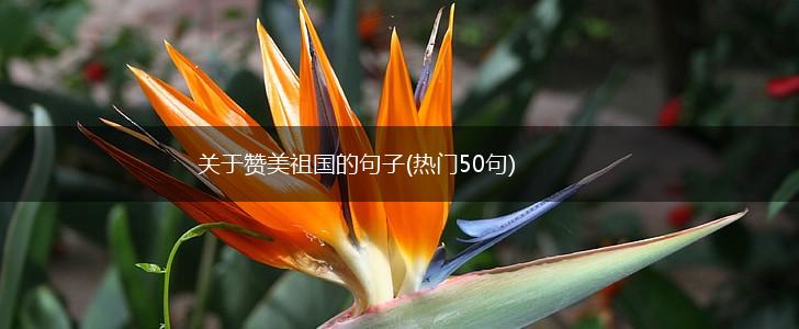 关于赞美祖国的句子(热门50句),第1张