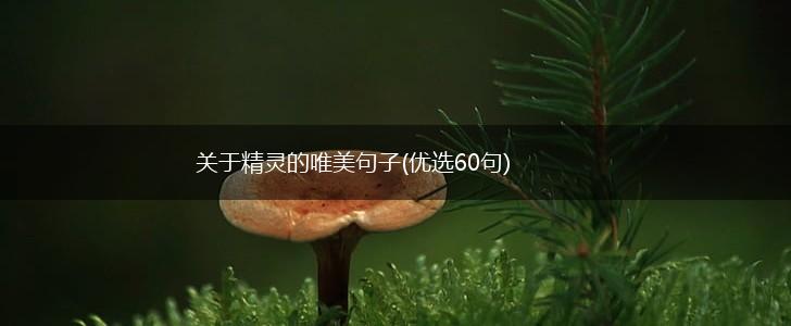 关于精灵的唯美句子(优选60句),第1张