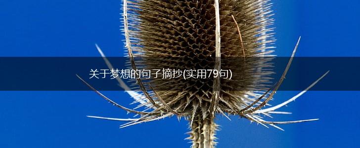 关于梦想的句子摘抄(实用79句),第1张
