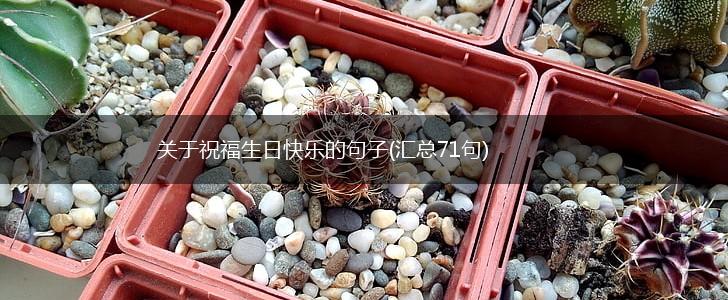 关于祝福生日快乐的句子(汇总71句),第1张