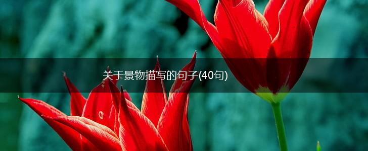 关于景物描写的句子(40句),第1张