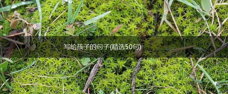 写给孩子的句子(精选50句),第1张