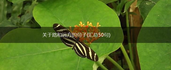 关于路和远方的句子(汇总50句),第1张