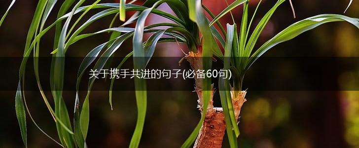 关于携手共进的句子(必备60句),第1张