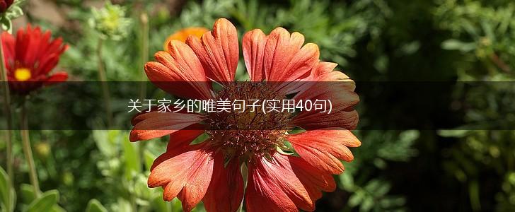 关于家乡的唯美句子(实用40句),第1张