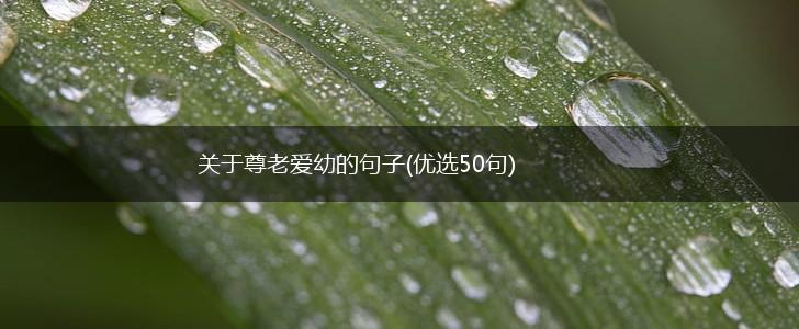 关于尊老爱幼的句子(优选50句),第1张