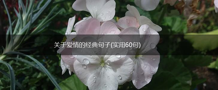 关于爱情的经典句子(实用60句),第1张