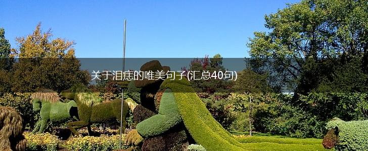 关于泪痣的唯美句子(汇总40句),第1张