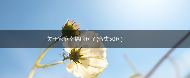 关于家庭幸福的句子(合集50句),第1张