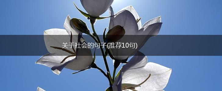 关于社会的句子(推荐10句),第1张