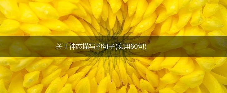 关于神态描写的句子(实用60句),第1张