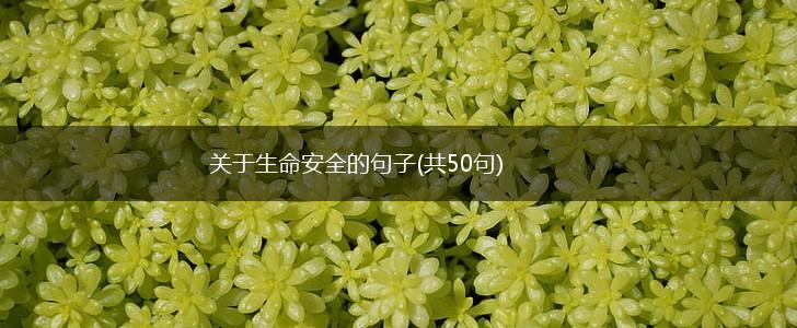 关于生命安全的句子(共50句),第1张
