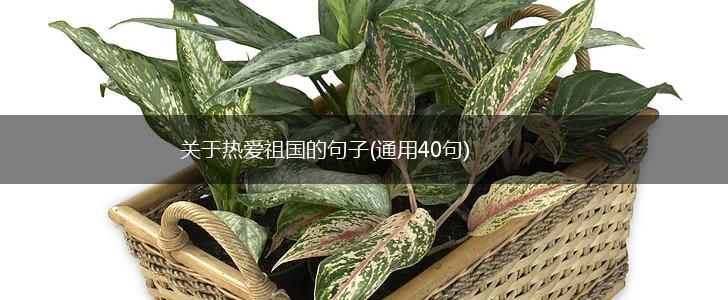 关于热爱祖国的句子(通用40句),第1张