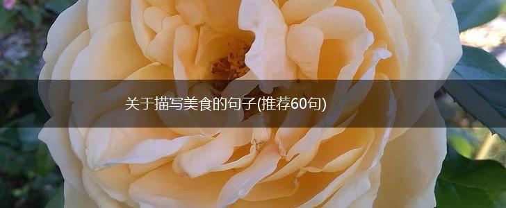 关于描写美食的句子(推荐60句),第1张