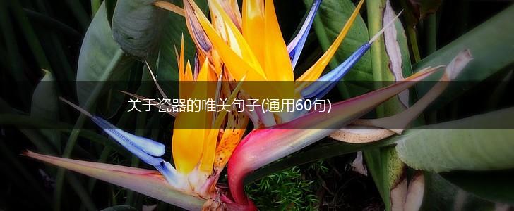 关于瓷器的唯美句子(通用60句),第1张