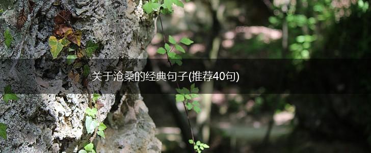 关于沧桑的经典句子(推荐40句),第1张