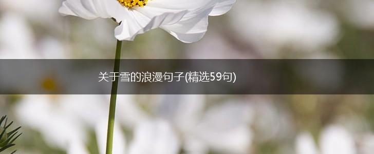 关于雪的浪漫句子(精选59句),第1张