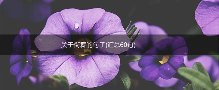关于街舞的句子(汇总60句),第1张